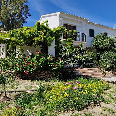 Cortijo Nerja Artist Paradise Esterno foto