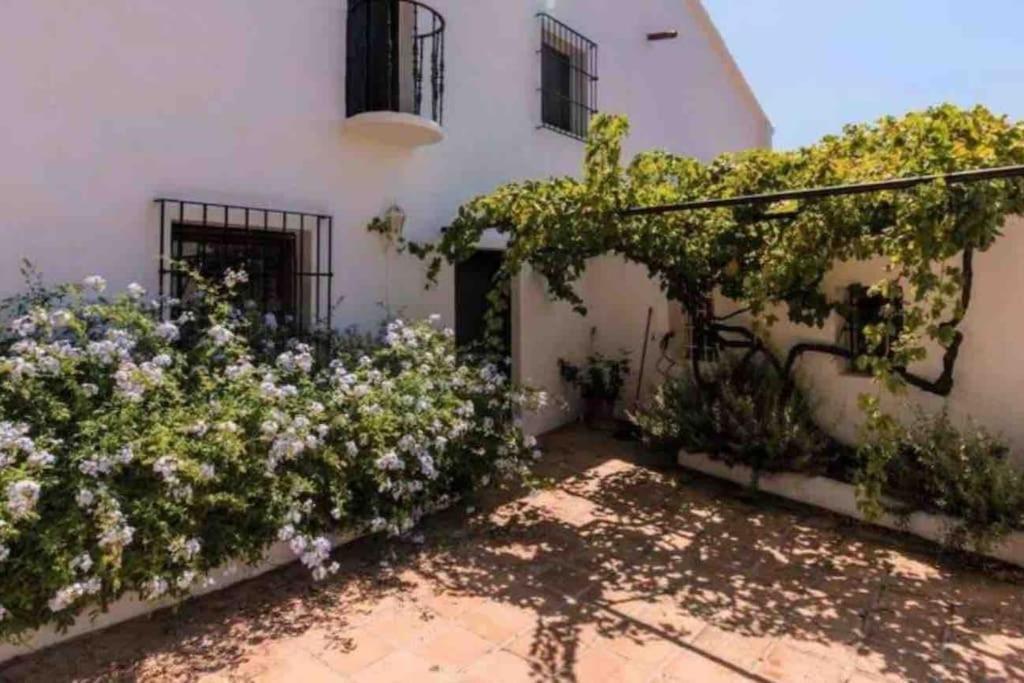Cortijo Nerja Artist Paradise Esterno foto