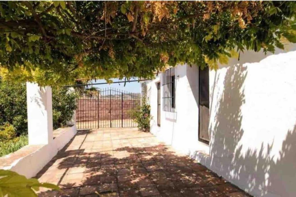 Cortijo Nerja Artist Paradise Esterno foto