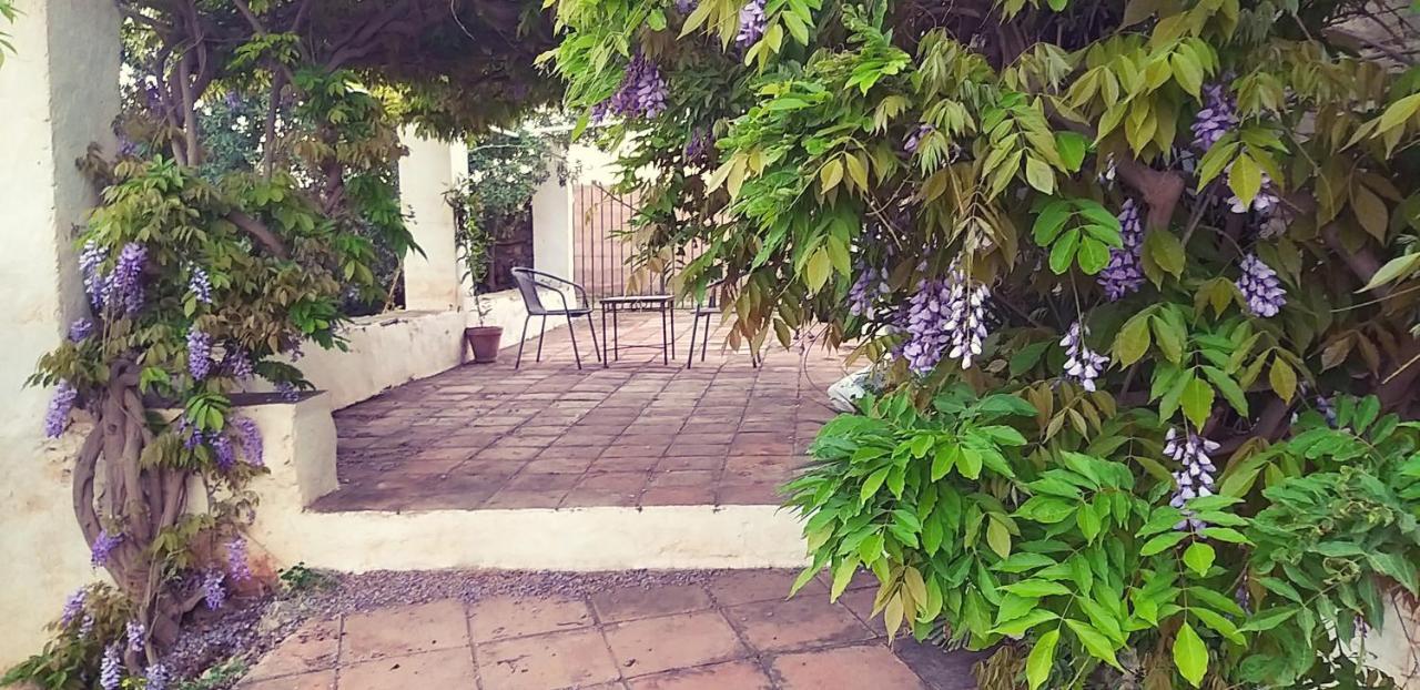 Cortijo Nerja Artist Paradise Esterno foto