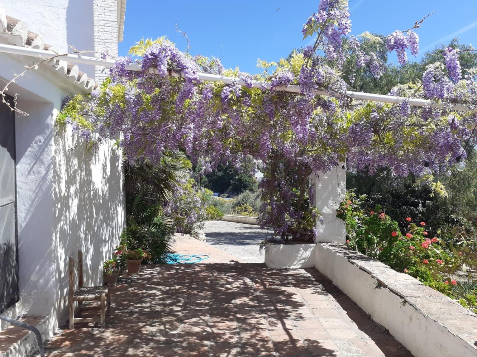 Cortijo Nerja Artist Paradise Esterno foto